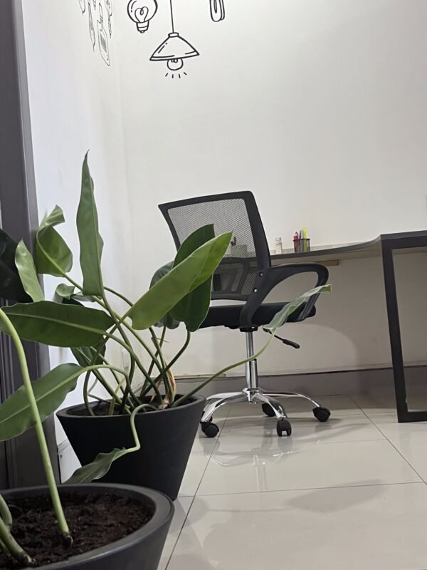 Plan 5 días - Escritorio de Cowork